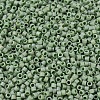 MIYUKI Delica Beads X-SEED-J020-DB2310-3