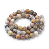 Natural Crazy Lace Agate Beads Strands G-S259-38-8mm-2