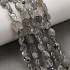 Natural Labradorite Nuggets Beads Strands G-J335-40-1