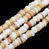 Natural Freshwater Shell Beads Strands SHEL-S278-067G-1