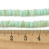Dyed Natural Freshwater Shell Beads Strands BSHE-G039-07E-4