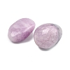 Natural Kunzite Beads G-G348-01A-15-2