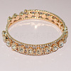 Titanium Alloy and Crystal Rhinestone Bangles for Women FS-WG3AF1B-02-2