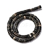 Natural Biotite Beads Strands G-L624-I12-3x6mm-3