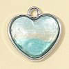 Zinc Alloy with Resin Charms RE-OY001-10P-1