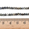 Natural Kyanite Beads Strands G-Z104-B01-3mm-B-5