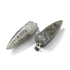 Natural Labradorite Pointed Pendants G-D040-01P-B04-3