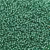 TOHO 11/0 Round Beads X-SEED-TR11-2119-2