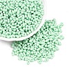 Opaque Acrylic Beads X1-MACR-T048-02P-3
