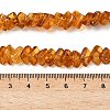 Natural Amber Beads Strands G-K376-C03-01-5