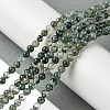 Natural Moss Agate Beads Strands G-K365-C06-01-2
