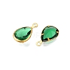 K9 Glass Charms GLAA-T023-10E-2