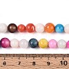 Freshwater Shell Beads Strands X-SHEL-T013-003-4
