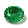 Glass European Beads GLAA-XCP0001-43E-1
