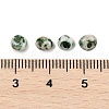 Picasso Glass Seed Beads SEED-Q038-03K-3