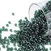 TOHO 11/0 Round Beads SEED-XTR11-0118-1