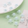 Transparent Acrylic Beads TACR-S152-11A-10-6