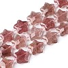 Natural Strawberry Quartz Beads Strands G-T138-183-4