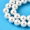 Rainbow Plated Shell Pearl Bead Strands X-BSHE-L025-02-8mm-3