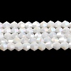 Opaque Solid Color Electroplate Glass Beads Strands LS-EGLA-A039-P4mm-B15-1