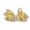 Rack Plating Brass Charms KK-C007-17G-3