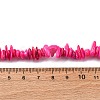 Natural Freshwater Shell Beads Strands BSHE-I016-01G-2