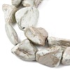 Natural Variscite Beads Strands G-D098-C09-4