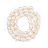 Natural Cultured Freshwater Pearl Beads Strands PEAR-P064-20H-03A-3