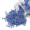 8/0 Ceylon Round Glass Seed Beads X-SEED-A011-3mm-146-1