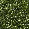 6/0 Glass Seed Beads X2-SEED-A005-4mm-24-3