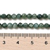 Natural Freshwater Shell Dyed Beads Strands SHEL-R100-12A-05-4