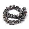 Natural Syenite Beads Strands G-N327-05-27-2