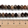 Natural Petrified Wood Beads Strands G-Z111-A50-6
