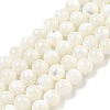 Natural Sea Shell Beads Strands SSHEL-K013-6mm-A-1