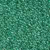 TOHO Round Seed Beads SEED-XTR11-0343-2