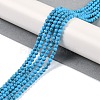 Synthetic Turquoise Beads Strands G-U004-02J-2