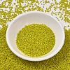 MIYUKI Delica Beads SEED-X0054-DB2283-2