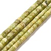 Natural Idocrase Beads Strands G-I339-03A-1