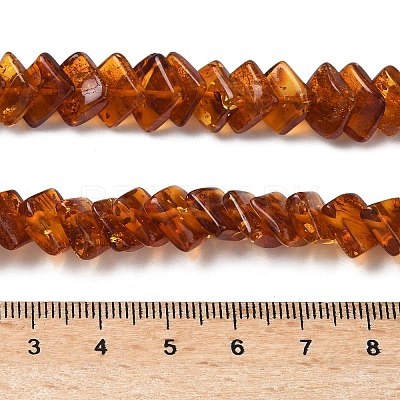 Natural Amber Beads Strands G-K376-C01-01-1