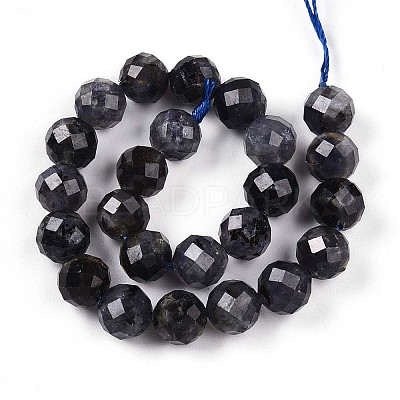 Natural Cordierite/Iolite/Dichroite Beads Strands G-S345-8mm-27-1