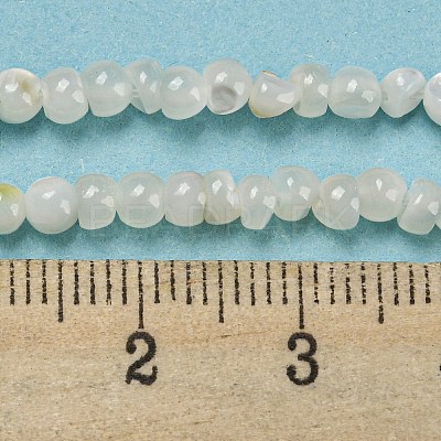 Natural White Shell Dyed Beads Strands BSHE-Z005-03G-1