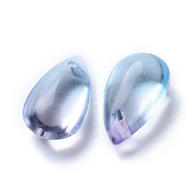 Transparent Glass Charms X-GLAA-O017-01J-1