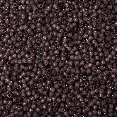 TOHO Round Seed Beads SEED-XTR08-PF2114-1