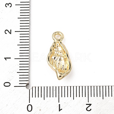 Brass Pendants KK-F917-03B-G-1