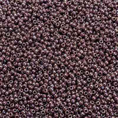 TOHO 11/0 Round Beads X-SEED-TR11-0412-1
