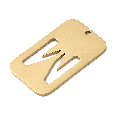 304 Stainless Steel Pendants STAS-D200-01W-G-1