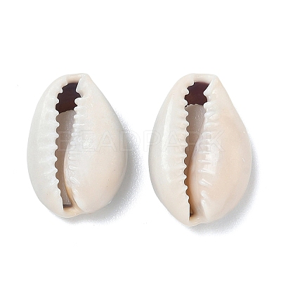 Natural Cowrie Shell Beads X-BSHE-O007-73-1