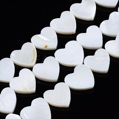Natural Freshwater Shell Beads Strands X-SHEL-N027-21-1