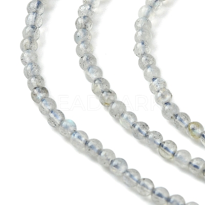 Natural Labradorite Beads Strands G-Z034-B04-01-1