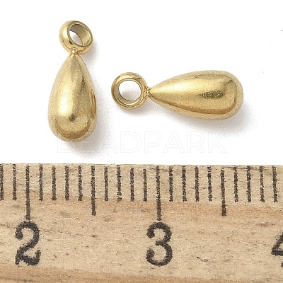 304 Stainless Steel Charms STAS-U037-18G-1